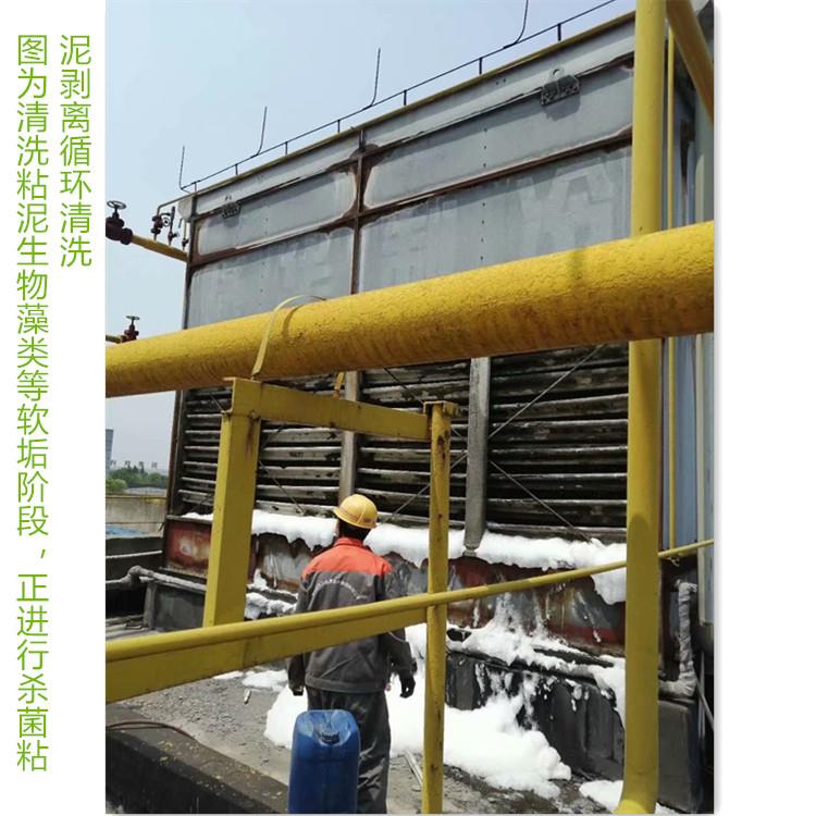 蒸发式冷凝器荔枝视频资源在线观看1_副本.jpg