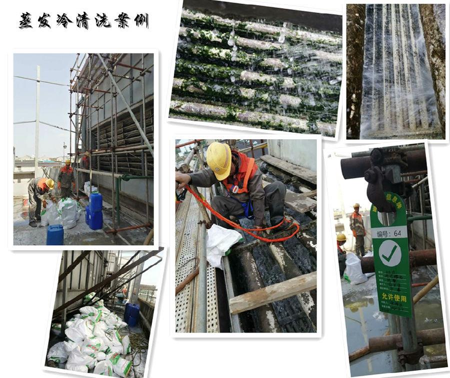 蒸发式冷凝器荔枝视频资源在线观看案例.jpg