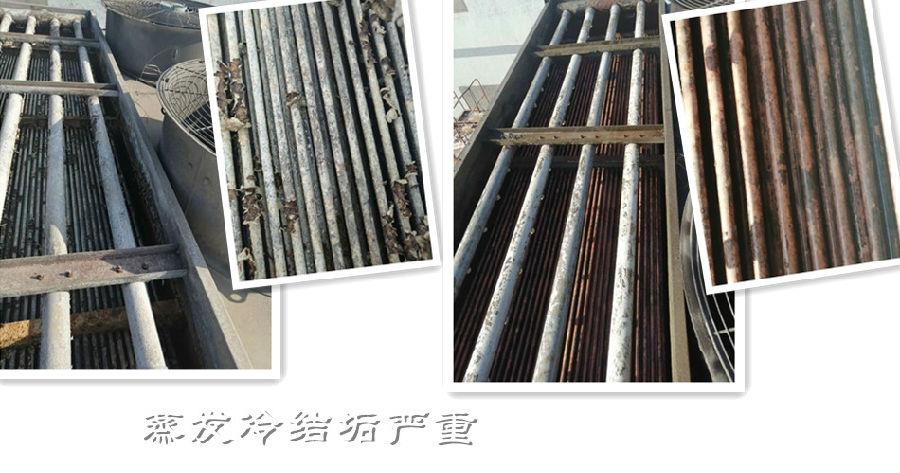 蒸发冷荔枝视频资源在线观看3-1.jpg