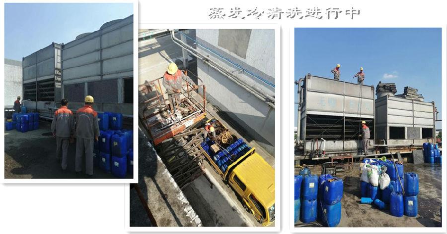 蒸发冷荔枝视频资源在线观看1-1.jpg