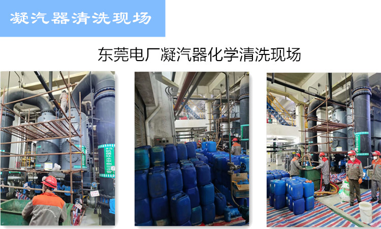 凝汽器荔枝视频资源在线观看现场 凝汽器荔枝视频资源在线观看现场