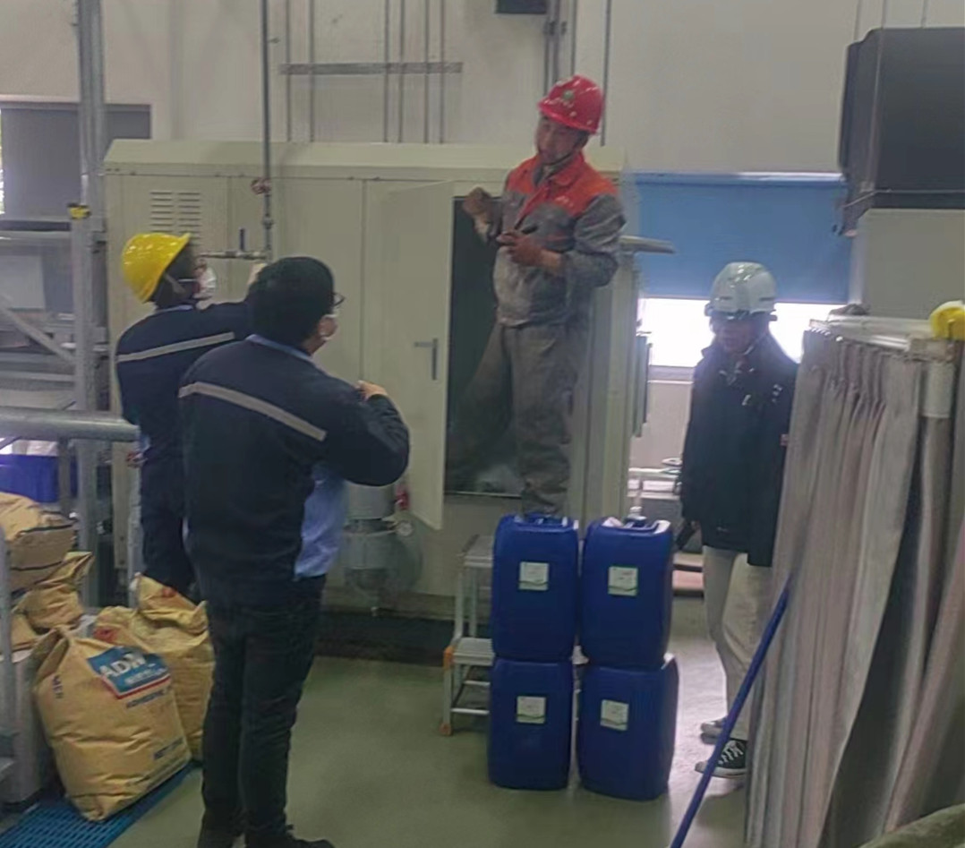 冷冻水系统荔枝视频资源在线观看3_副本