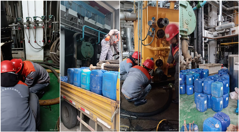 凝汽器、冷油器荔枝视频资源在线观看-组合